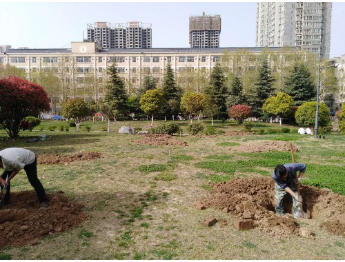 博鱼中国官网：保山绿化花卉苗木批发市场