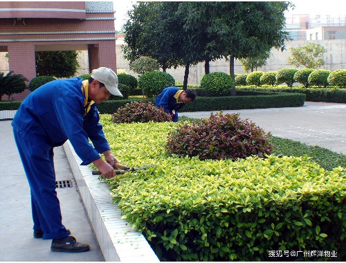 博鱼boyu官方网站：扬州市民参与城市绿化建设